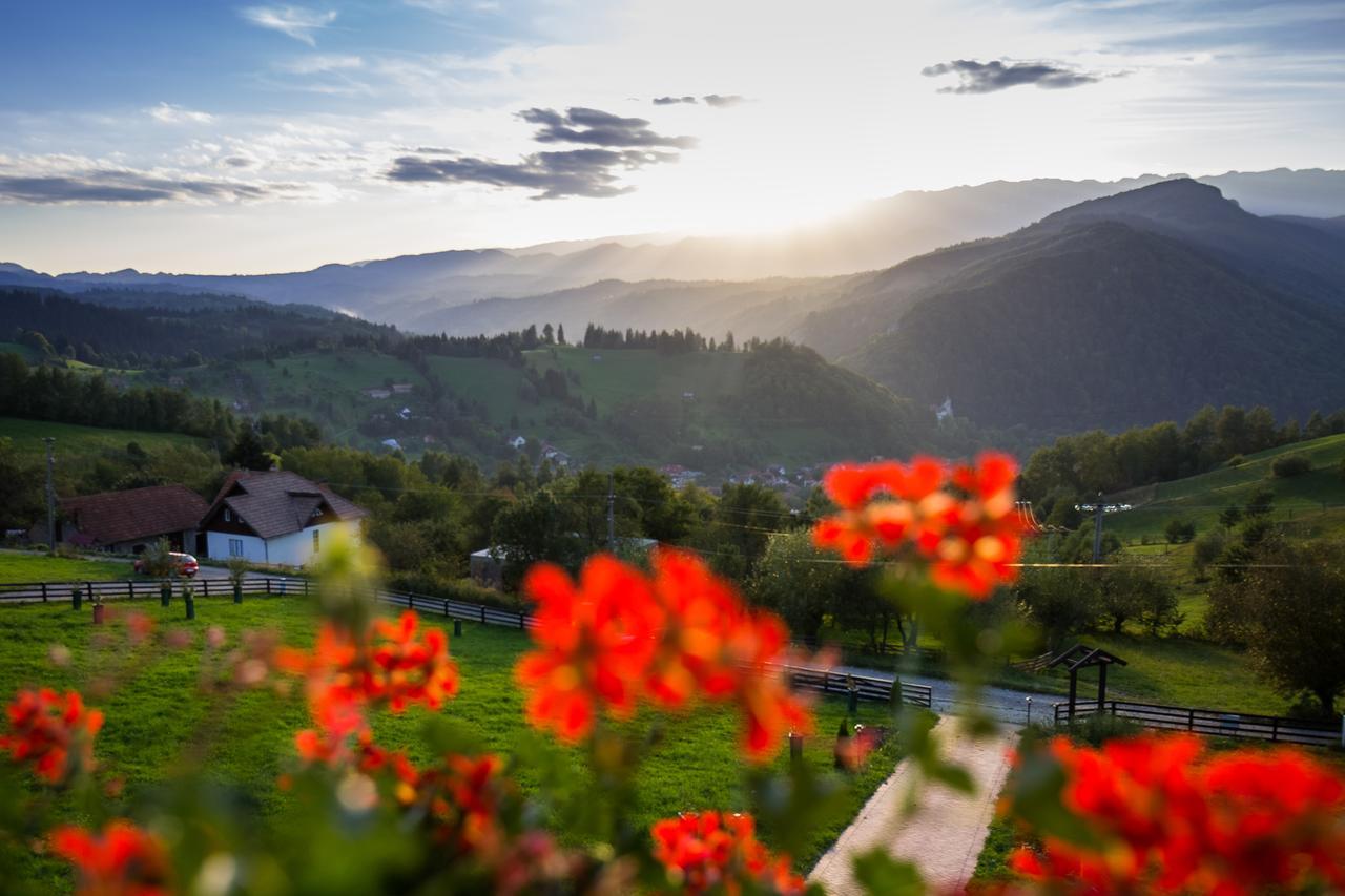 Bran Monte Crai Chalet ภายนอก รูปภาพ