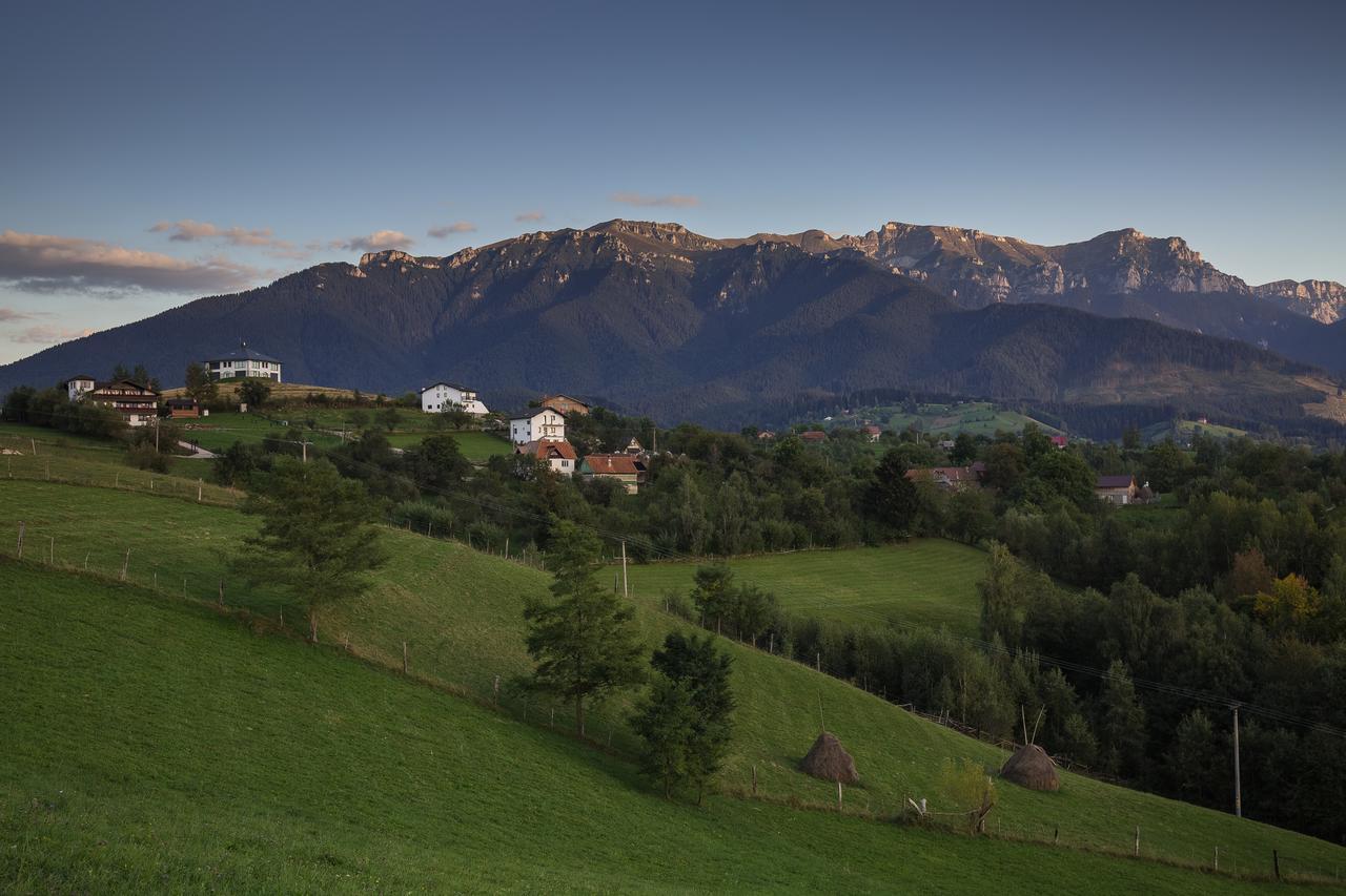 Bran Monte Crai Chalet ภายนอก รูปภาพ