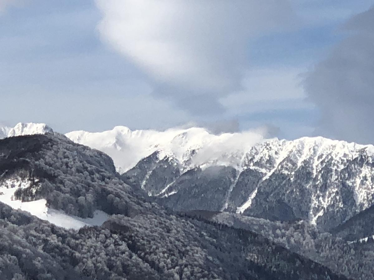Bran Monte Crai Chalet ภายนอก รูปภาพ